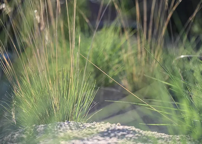 شقة Kloeoenstuuv فيهمارن